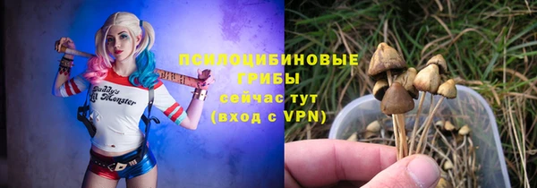 соль ск Каменка
