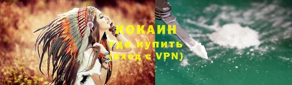 соль ск Каменка