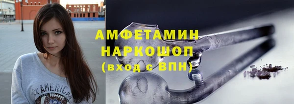 молекула духа Каменногорск