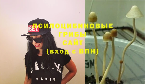 молекула духа Каменногорск