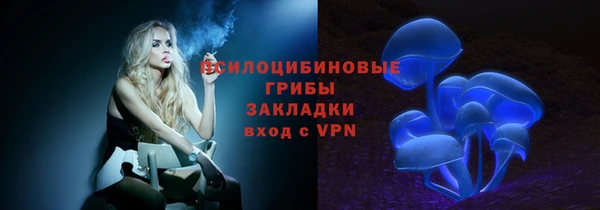 молекула духа Каменногорск