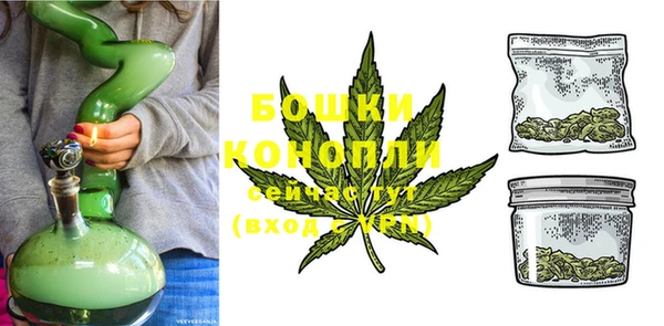 молекула духа Каменногорск