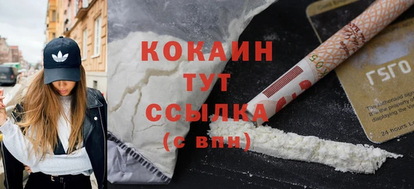 соль ск Каменка