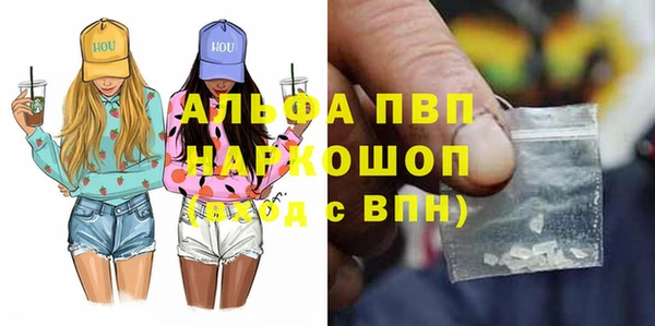 молекула духа Каменногорск