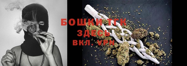 молекула духа Каменногорск