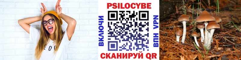 Псилоцибиновые грибы GOLDEN TEACHER  Купить закладки  Можайск 